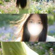 ヒメ日記 2025/11/19 07:00 投稿 まゆり THE ESUTE 五反田店