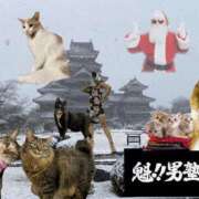 ヒメ日記 2024/12/12 17:04 投稿 成瀬　真姫 白夜