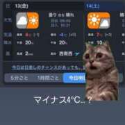 ヒメ日記 2024/12/13 08:06 投稿 成瀬　真姫 白夜