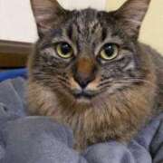 ヒメ日記 2024/12/18 07:30 投稿 成瀬　真姫 白夜