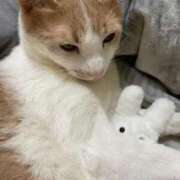 ヒメ日記 2025/01/13 07:01 投稿 成瀬　真姫 白夜