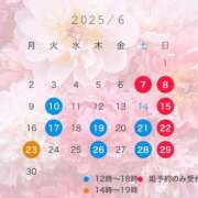 ヒメ日記 2025/06/07 08:01 投稿 成瀬　真姫 白夜