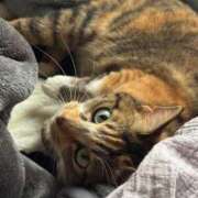 ヒメ日記 2025/06/08 07:30 投稿 成瀬　真姫 白夜