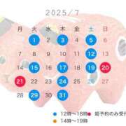 ヒメ日記 2025/06/14 21:43 投稿 成瀬　真姫 白夜