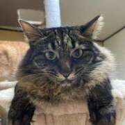 ヒメ日記 2025/06/23 22:05 投稿 成瀬　真姫 白夜