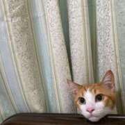 ヒメ日記 2025/06/26 07:30 投稿 成瀬　真姫 白夜