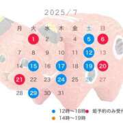 ヒメ日記 2025/07/04 07:30 投稿 成瀬　真姫 白夜