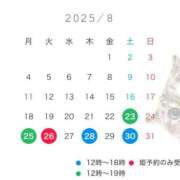 ヒメ日記 2025/08/28 20:55 投稿 成瀬　真姫 白夜