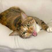 ヒメ日記 2025/08/29 21:37 投稿 成瀬　真姫 白夜