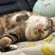 ヒメ日記 2025/09/20 07:00 投稿 成瀬　真姫 白夜