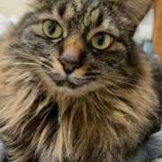 ヒメ日記 2025/09/27 21:07 投稿 成瀬　真姫 白夜