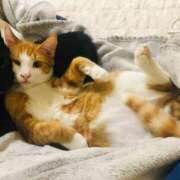 ヒメ日記 2025/10/01 07:01 投稿 成瀬　真姫 白夜