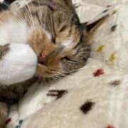 ヒメ日記 2025/10/05 07:28 投稿 成瀬　真姫 白夜