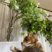 ヒメ日記 2025/10/10 07:01 投稿 成瀬　真姫 白夜