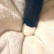 ヒメ日記 2025/10/11 11:04 投稿 成瀬　真姫 白夜