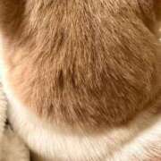 ヒメ日記 2025/10/12 07:30 投稿 成瀬　真姫 白夜