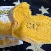 ヒメ日記 2025/10/14 06:45 投稿 成瀬　真姫 白夜