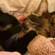 ヒメ日記 2025/11/16 18:57 投稿 成瀬　真姫 白夜