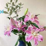 ヒメ日記 2026/01/10 22:00 投稿 成瀬　真姫 白夜