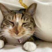 ヒメ日記 2026/01/18 07:01 投稿 成瀬　真姫 白夜