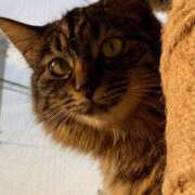 ヒメ日記 2026/01/20 21:46 投稿 成瀬　真姫 白夜