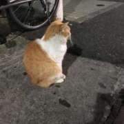 ヒメ日記 2026/01/21 07:15 投稿 成瀬　真姫 白夜