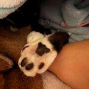 ヒメ日記 2026/02/03 07:45 投稿 成瀬　真姫 白夜