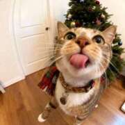 ヒメ日記 2026/02/07 07:15 投稿 成瀬　真姫 白夜