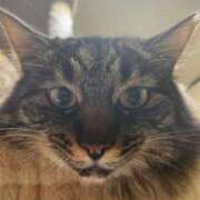 ヒメ日記 2026/02/22 08:02 投稿 成瀬　真姫 白夜