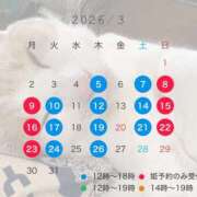 成瀬　真姫 🫧特別メニュー🫧 白夜