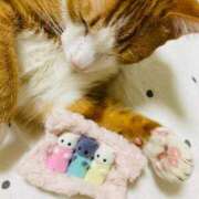 ヒメ日記 2026/03/13 07:30 投稿 成瀬　真姫 白夜