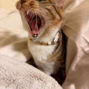 ヒメ日記 2026/03/16 14:25 投稿 成瀬　真姫 白夜