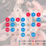ヒメ日記 2026/05/01 08:30 投稿 成瀬　真姫 白夜