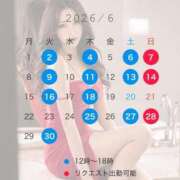ヒメ日記 2026/05/13 08:15 投稿 成瀬　真姫 白夜