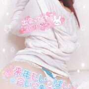 ヒメ日記 2024/12/31 12:16 投稿 三上 友梨香 白夜