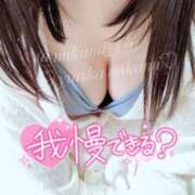 ヒメ日記 2025/01/14 08:15 投稿 三上 友梨香 白夜