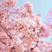 ヒメ日記 2025/03/08 09:18 投稿 三上 友梨香 白夜