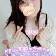 ヒメ日記 2025/03/19 12:16 投稿 三上 友梨香 白夜