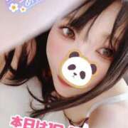 ヒメ日記 2025/03/21 08:15 投稿 三上 友梨香 白夜