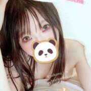 ヒメ日記 2025/05/27 08:15 投稿 三上 友梨香 白夜