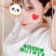 ヒメ日記 2025/06/17 08:15 投稿 三上 友梨香 白夜