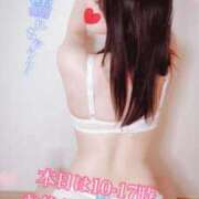 ヒメ日記 2025/09/09 08:15 投稿 三上 友梨香 白夜