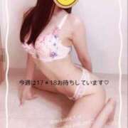 ヒメ日記 2025/10/13 18:15 投稿 三上 友梨香 白夜