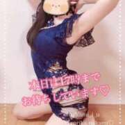 ヒメ日記 2025/10/17 08:15 投稿 三上 友梨香 白夜