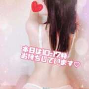 ヒメ日記 2026/02/13 08:15 投稿 三上 友梨香 白夜