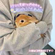 ヒメ日記 2026/02/28 12:17 投稿 三上 友梨香 白夜