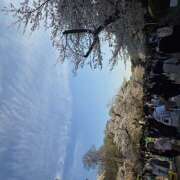 ヒメ日記 2026/04/14 13:36 投稿 音無さほ ワイフコレクション