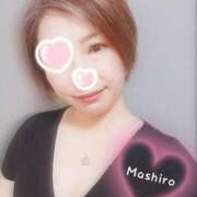 大庭ましろ 今後のスケジュール❣️ ワイフコレクション