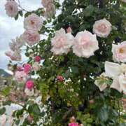 小泉かりな☆上質な癒やしと美貌 20日はアロマ祭🌹 ESTE ALLURE