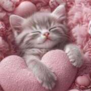 ヒメ日記 2025/11/22 17:04 投稿 遠野はずき(とうのはずき) 五十路マダムエクスプレス厚木店(カサブランカグループ)